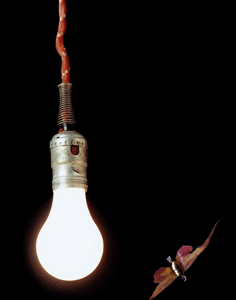  La cocotte-minute, agence de scnographie - Nues, installation pour la fte des lumires 2008