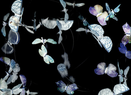 © La cocotte-minute, agence de scénographie - Nuées, installation pour la fête des lumières 2008